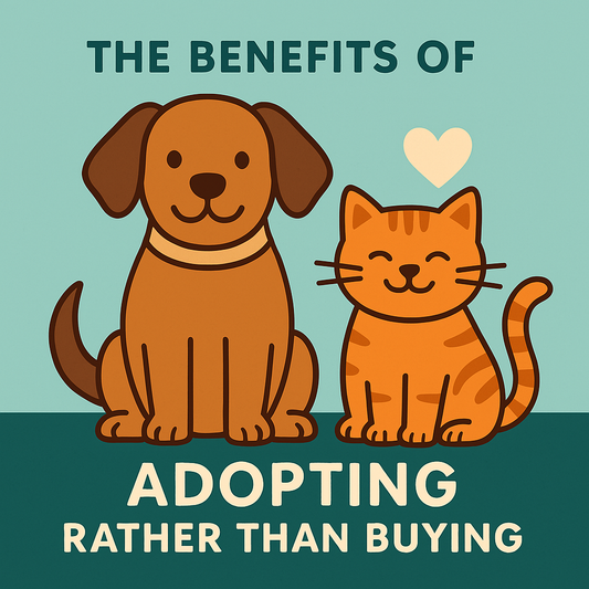 Adopt, Don’t Shop: Why Rescuing Your Next Pet Is the Best Choice