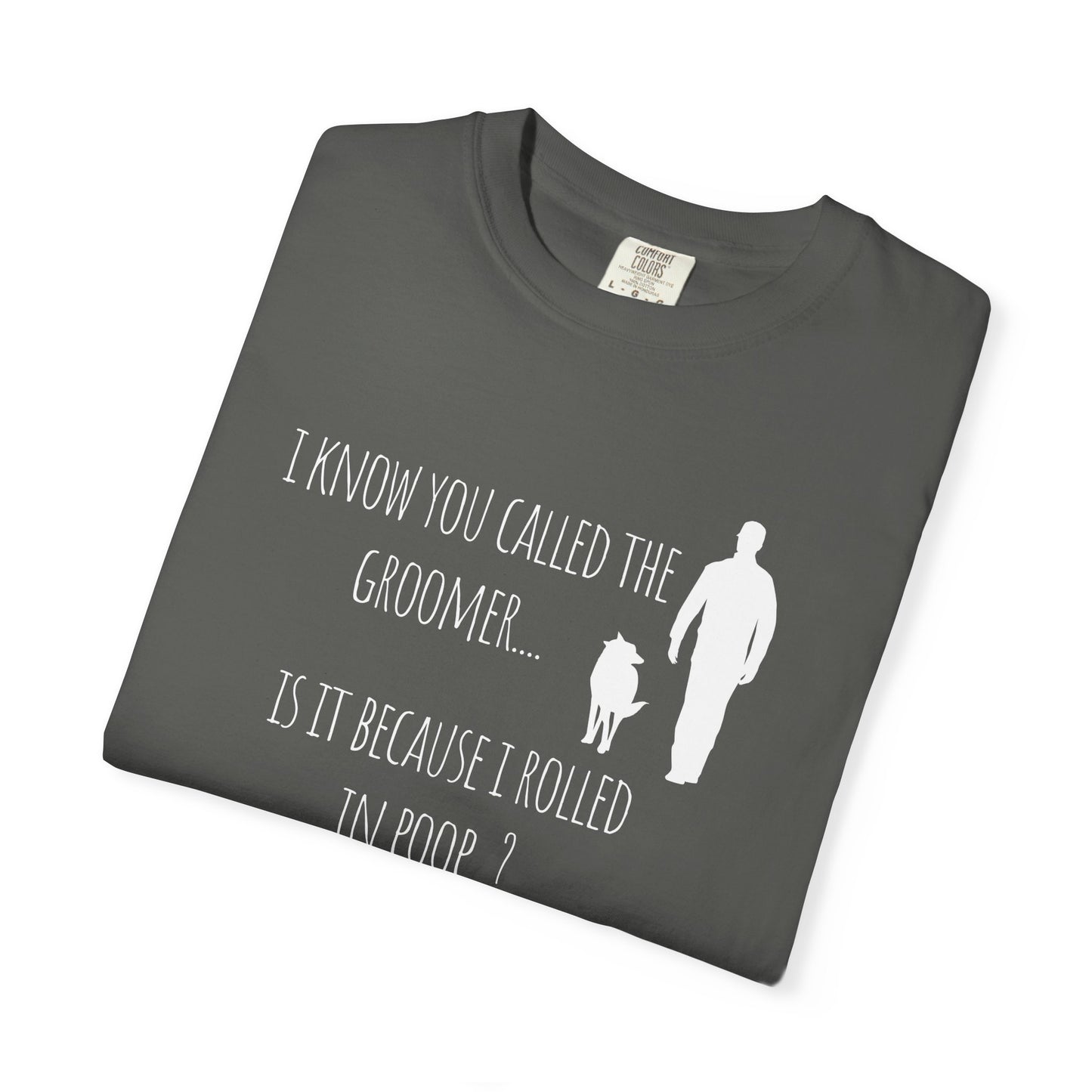 Humorous Dog Lover T-Shirt - 'Is It Because I Rolled In Poop?' Unisex Garment-Dyed Tee